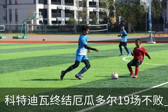 科特迪瓦终结厄瓜多尔19场不败 用韧性拿到世界杯开门红