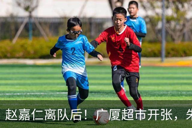 赵嘉仁离队后！广厦超市开张，朱俊龙布朗被疯抢，广东要胡金秋？